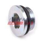 FAST surub de golire, baia de ulei FAST FT94713 (FT94713)