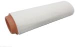 AUTOMEGA Filtru aer AUTOMEGA 180067110 (180067110)