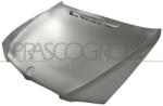 PRASCO Capota motor PRASCO BM1003100 (BM1003100)