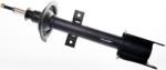 Denckermann amortizor DENCKERMANN DSB189G (DSB189G) - automobilus