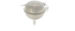MAHLE Vas de expansiune, racire MAHLE BEHR CRT 279 000S (CRT 279 000S)