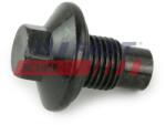 FAST surub de golire, baia de ulei FAST FT94735 (FT94735)