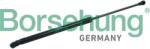 BORSEHUNG Amortizor portbagaj BORSEHUNG B14194 (B14194) - automobilus