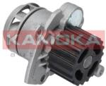 KAMOKA Pompă de apă, răcire motor KAMOKA T0253 (T0253)