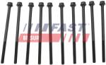 FAST Set surub, chiulasa FAST FT51507 (FT51507)