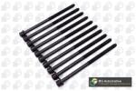 BGA Set surub, chiulasa BGA BK3373 (BK3373)