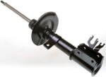 Denckermann amortizor DENCKERMANN DSB029G (DSB029G)