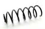 ASHIKA Arc spiral ASHIKA ZCA5769C (ZCA5769C) - automobilus