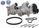 VAICO Set pompa apa + curea dintata VAICO EXPERT KITS + V10-50114 (V10-50114)