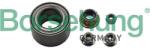 BORSEHUNG Set rulment roata BORSEHUNG B15959 (B15959)