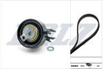 DOLZ Set curea de distributie DOLZ SKD230 (SKD230)