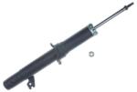 Denckermann amortizor DENCKERMANN DSB463G (DSB463G)