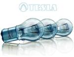 Tesla Bec, lampa frana / lampa spate TESLA B52401 (B52401)