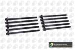 BGA Set surub, chiulasa BGA BK5302 (BK5302)