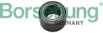 BORSEHUNG Rulment roata BORSEHUNG B15622 (B15622)