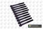 BGA Set surub, chiulasa BGA BK6318 (BK6318)