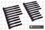 BGA Set surub, chiulasa BGA BK3306 (BK3306)