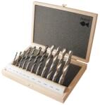 Fisch Set burghie elicoidale pentru lemn Fisch HSS, cilindrica, 4-16mm, 11 bucati (013C00011K01) Burghiu