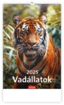 KALENDART 2026 T094 Vadállatok falinaptár 26T9400-08A (26T9400-08A)