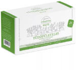 Györgytea Tüdőfűleveles filteres 20x1, 3g teakeverék, a torok barátja No. 470 - vitalino