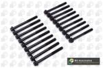 BGA Set surub, chiulasa BGA BK3311 (BK3311)