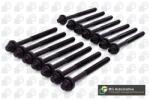 BGA Set surub, chiulasa BGA BK5316 (BK5316)