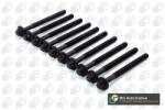 BGA Set surub, chiulasa BGA BK3381 (BK3381)