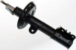 Denckermann amortizor DENCKERMANN DSB181G (DSB181G) - automobilus