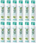 Vidal Deodorant spray, Vidal, Muschio Bianco, 150 ml