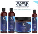 As I Am Co-Wash Șampon și Balsam, As I Am, Dry & amp; Itchy Scalp Care, 454 g