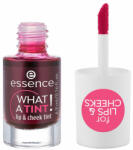 Essence Tint buze și obraji, Essence What a Tint, Kiss from a Rose, 4, 9 ml