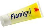 ‎Flen Health Gmbh Gel antiseptic Flen Health Flamigel, 40 g
