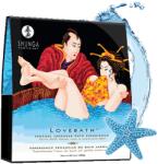 Shunga Baie senzuală, Shunga, Ocean Temptations, 650 g