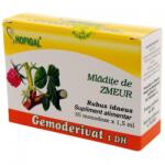 Hogan Gemoderivat, Hofigal, măliniță zmeur, 30 monodoze