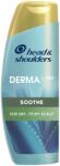 Head & amp; Shoulders Șampon, Head & amp; Shoulders Dermax Sooth, Aloe Cactus, 300 ml