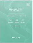 Mizon Cicaluronic Water Fit Mask 24 g