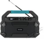 TechniSat Outdoor DAB+ / FM / BT Viola 231 OD, black