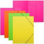 ErichKrause Set de dosare cu bandă elastică Erich Krause - Matt Neon, A4, 4 buc. , sortiment (59235)