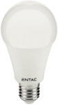 Entac 10W 4000K E27 LED fényforrás Entac (AVI LLG27 10W NW)