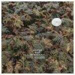 Vertigo 2LP AnnenMayKantereit: Alles Nix Konkretes