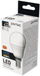 Entac LED Mini Globe E14 6, 5W CW 6400K