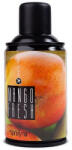 Spring Air légfrissítő 250 ml Friss mangó