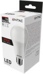 Entac LED Globe E27 12W WW 3000K
