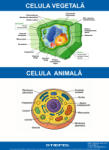  Celula vegetală și animală