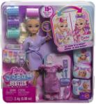 Mattel Barbie Dream Besties Papusa Barbie Malibu cu Accesorii Fashion (MTJGG38) Papusa Barbie
