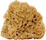 Cose della Natura Honeycomb - натурална гъба - Голям, 12-14 г