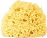 Cose della Natura Избелена Honeycomb-гъба - 12-14 gr