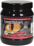 Headstart Focus Plus прах - Горски плодове - 500 г
