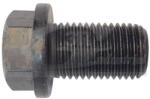 3RG surub de golire, baia de ulei 3RG 83044 (83044)
