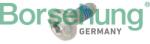 BORSEHUNG Surub blocare, reglaj distributie BORSEHUNG B10646 (B10646)